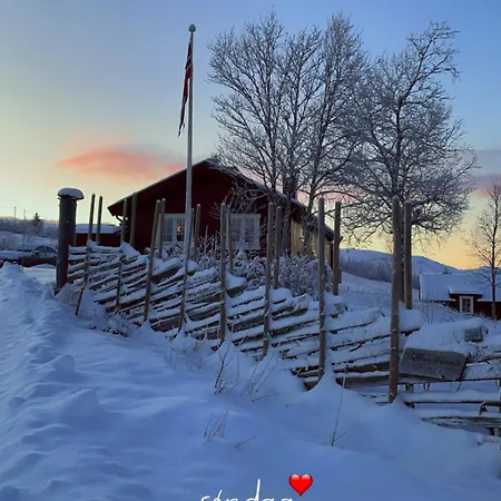 펜션 Mountain With A View At Gomostolen Pa Vaset *